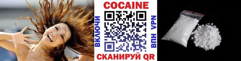 где купить наркоту  Каменск-Шахтинский  КОКАИН FishScale 
