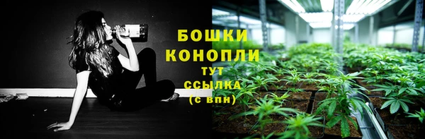 гидра Абаза