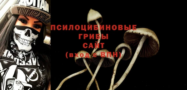 гидра Абаза