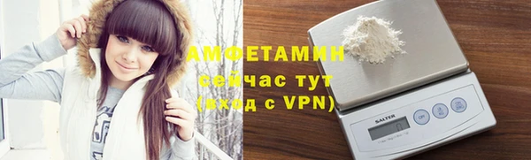 гидра Абаза