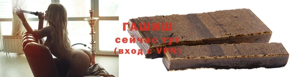 гидра Абаза