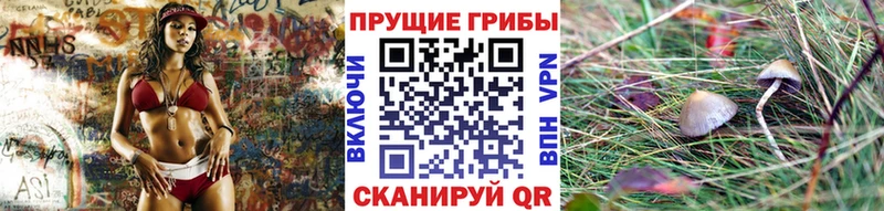 Галлюциногенные грибы ЛСД  darknet как зайти  Каменск-Шахтинский 
